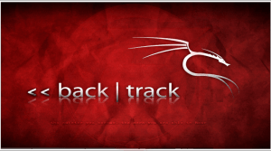 What You Can Do With BackTrack Linux